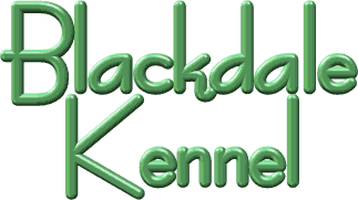 blacktitle3.gif (7393 bytes)