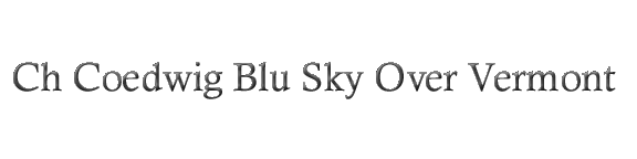 skytitle.gif (8184 bytes)